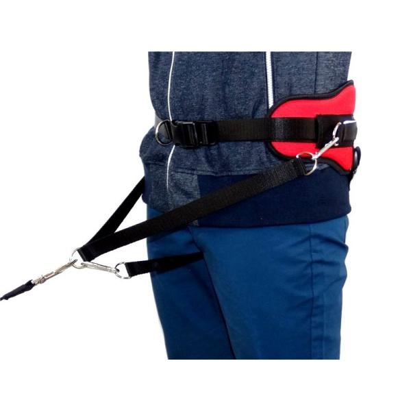 Canicross Gürtel Bold Rot LS